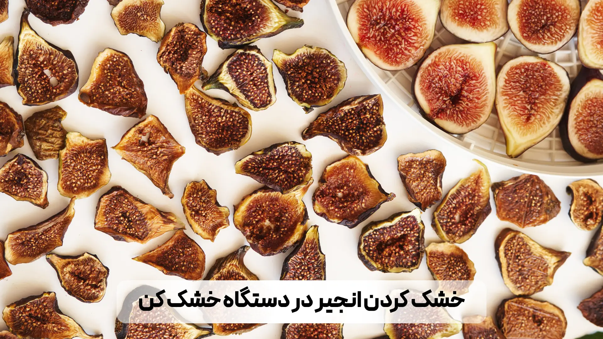 خشک شدن انجیر در دستگاه میوه خشک کن