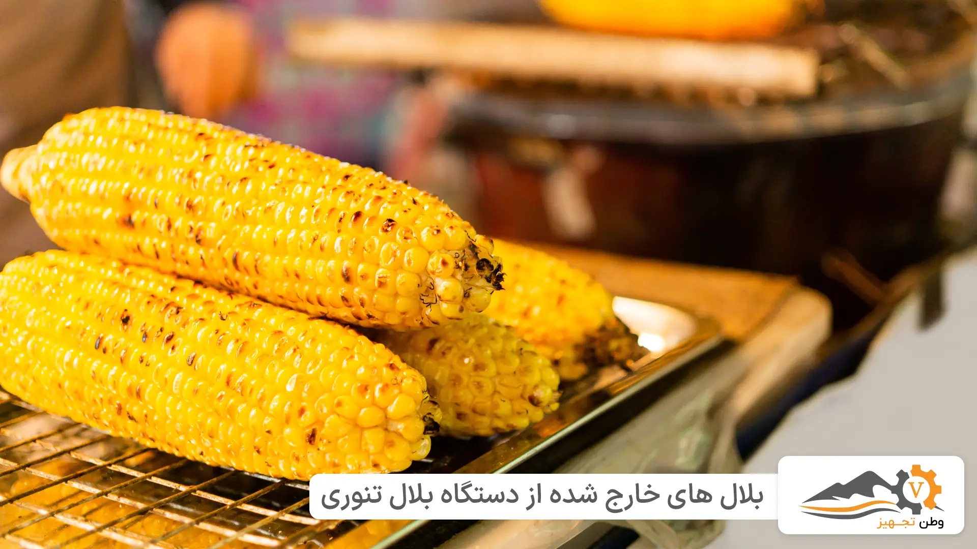 خرید دستگاه بلال تنوری به قیمت کارخانه