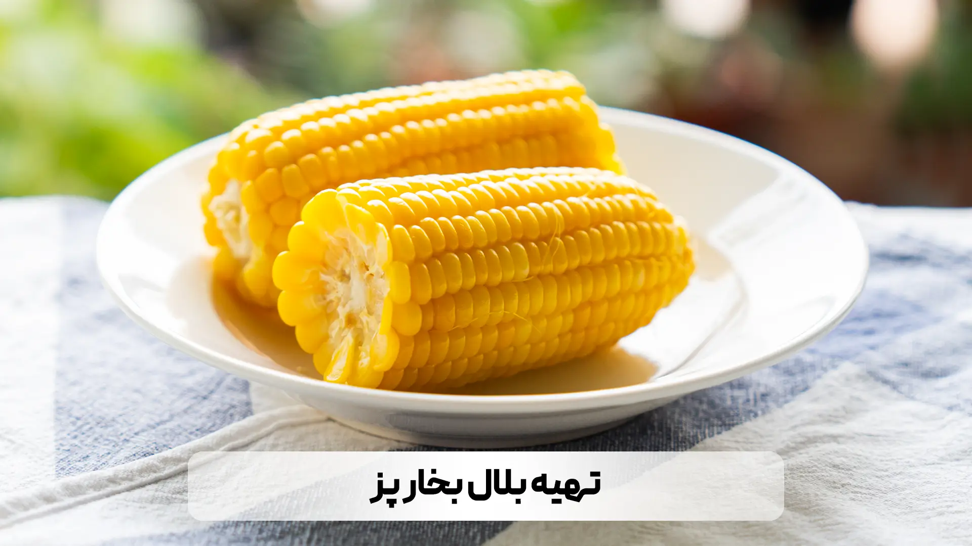 آموزش تهیه بلال تنوری ، گریل ، بخارپز و مکزیکی
