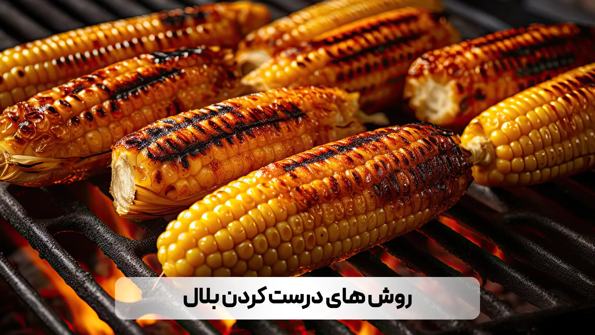 آموزش تهیه بلال تنوری ، گریل ، بخارپز و مکزیکی
